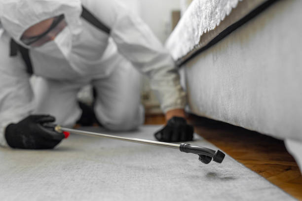 Professional Bed Bug Control technician working in Marina, CA
